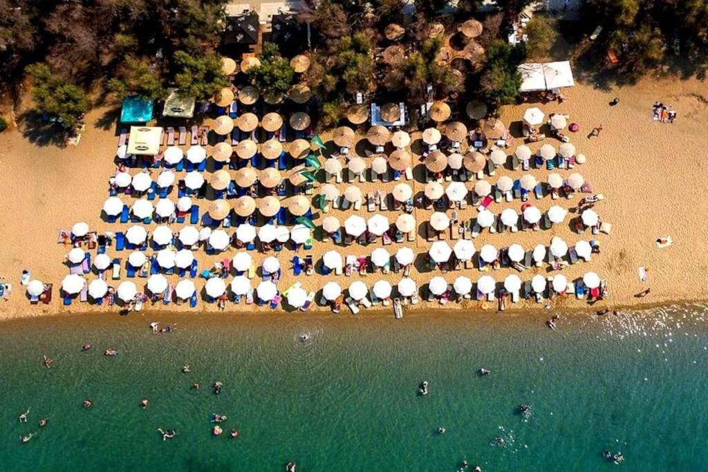 Grand Seaview Retreat - Walk To The Beach Néoi Epivátai Dış mekan fotoğraf